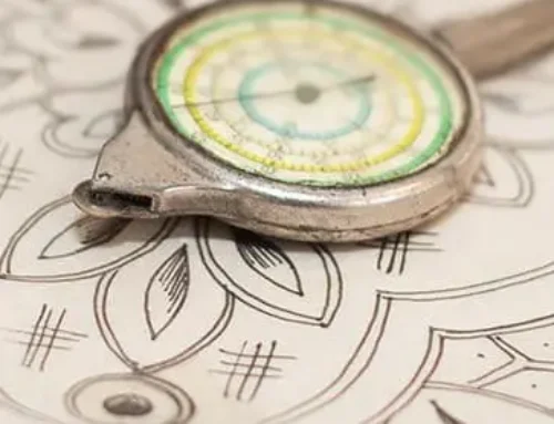 Was man in Funchal unternehmen kann: 7 authentische Erlebnisse auf Madeira